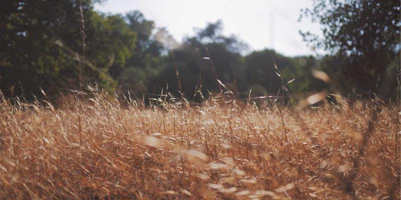 FAA20与行业资讯门户网站：如何通过专业平台把握航空业变革先机