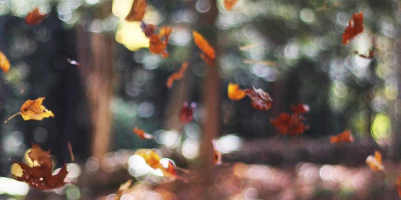 FAA20发布与市场分析：解读行业新规下的综合信息价值