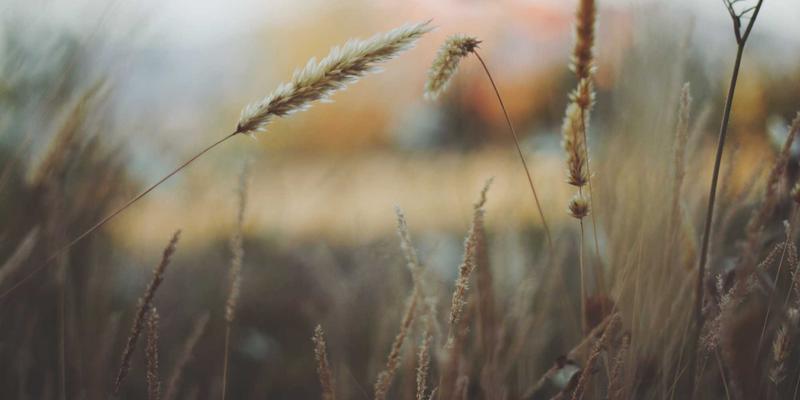 FAA20技术动态：AI制药如何从靶点发现到临床前研究实现效率革命