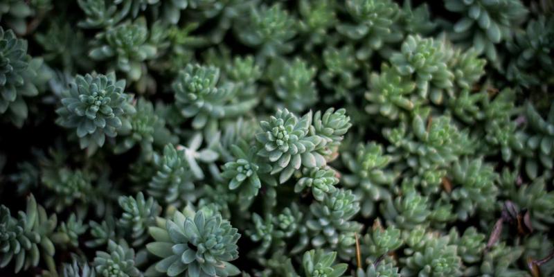 FAA20新规深度解读：从行业资讯看航空市场的变革与机遇