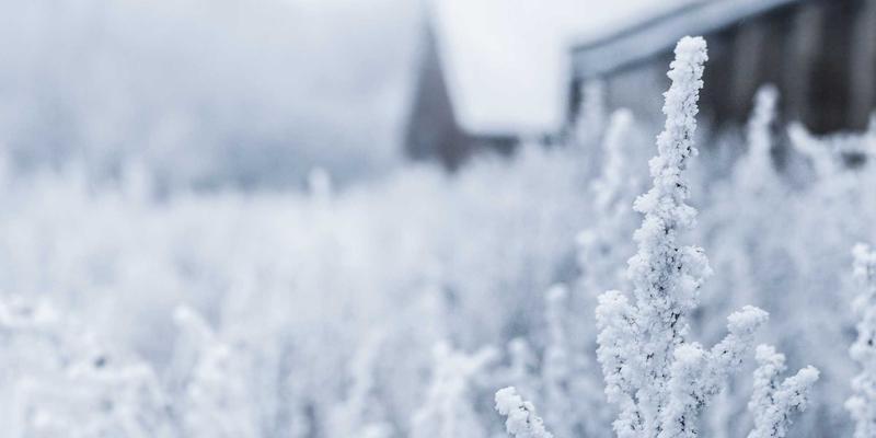 FAA20时代，门户网站如何以综合信息优势引领行业资讯变革