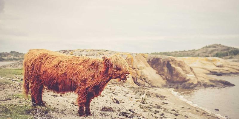 FAA20视角下的新能源汽车产业链深度解读：从电池技术革新到充电桩市场布局