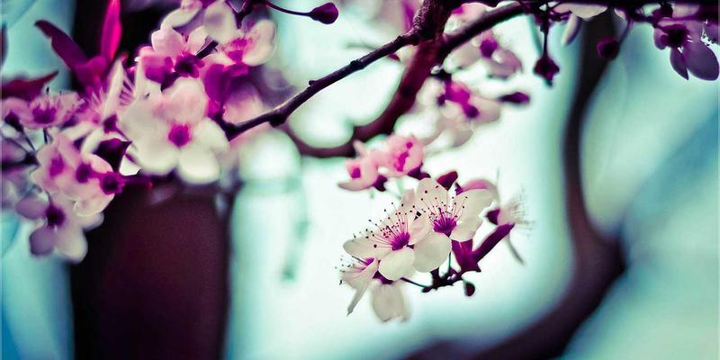 供应链金融科技新突破：基于区块链的应收账款融资模式创新解析