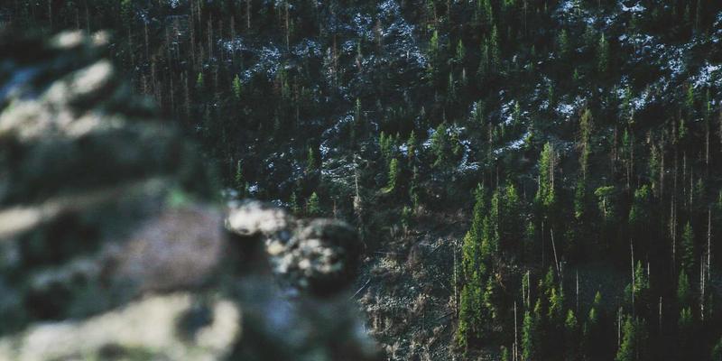 技术动态 | FAA20引领氢能产业链成本瓶颈突破，三大商业化应用场景（交通、储能、工业）深度探索