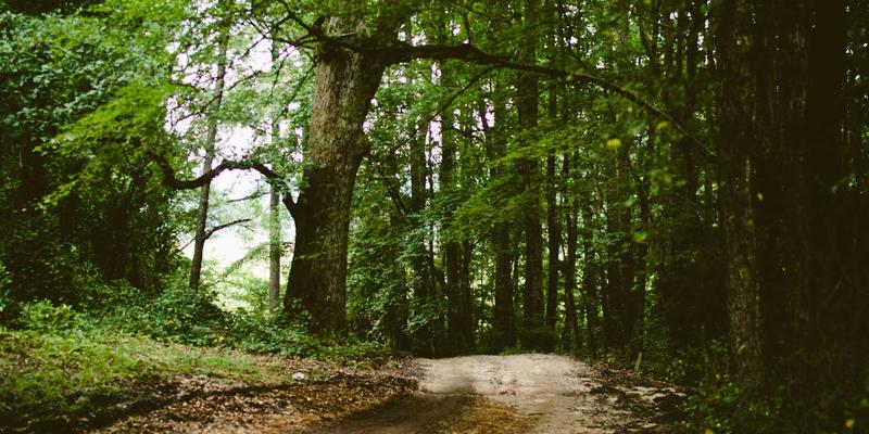 《数据安全法》与《个人信息保护法》实施后：企业如何构建FAA20框架下的数据合规治理体系