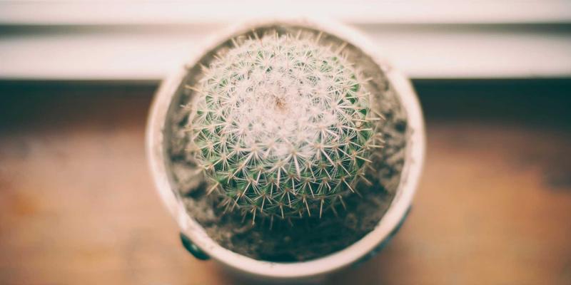 智慧农业新篇章：传感器网络与精准灌溉技术深度解析