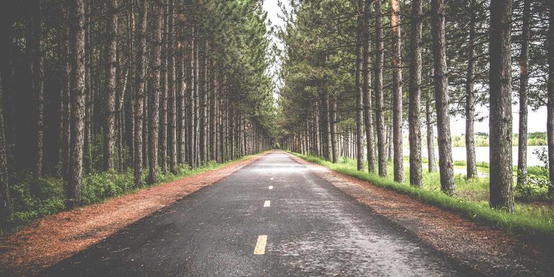 洞察行业脉搏：市场分析、综合信息与技术动态如何重塑商业决策