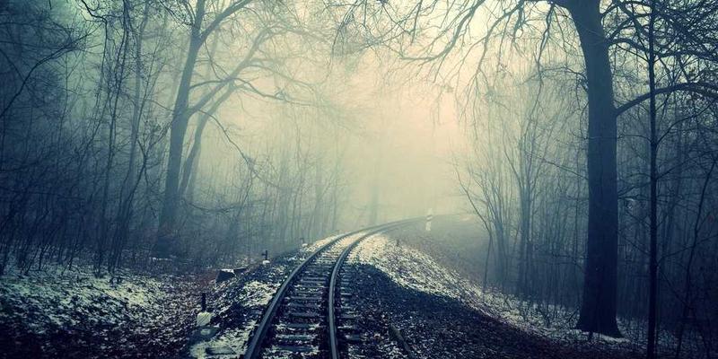 行业资讯36：解码技术动态、综合信息与市场分析的三维联动