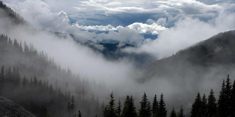 行业资讯68：技术动态引领市场变革，深度分析未来三年发展趋势