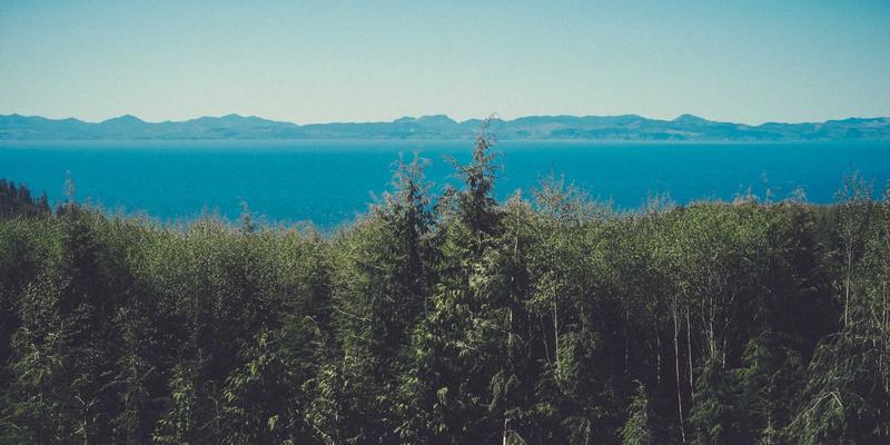 行业资讯是什么？深度解析市场分析、门户网站与FAA20的关键作用