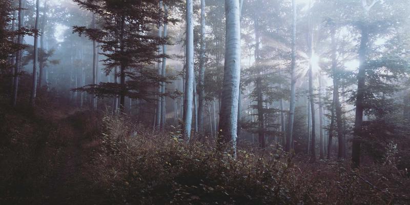 隐私计算技术：破解金融数据要素流通的合规密码